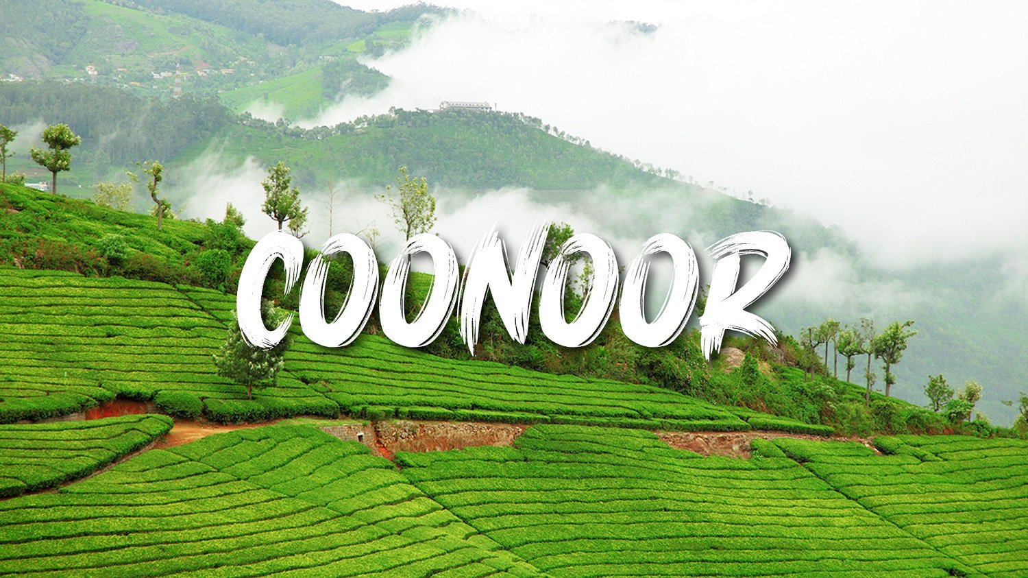 Coonoor Sightseeing Tour